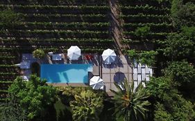 Finca Adalgisa